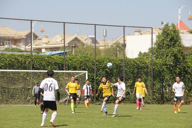 范戴克职业生涯8次与哈兰德交手 5胜3平未尝败绩